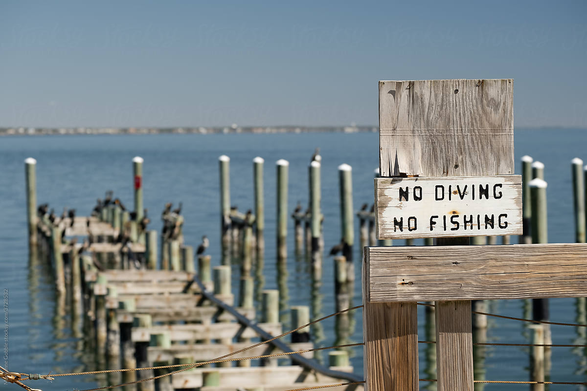 No Diving No Fishing Sign On Dock by Stocksy Contributor Maryanne Gobble  - Stocksy