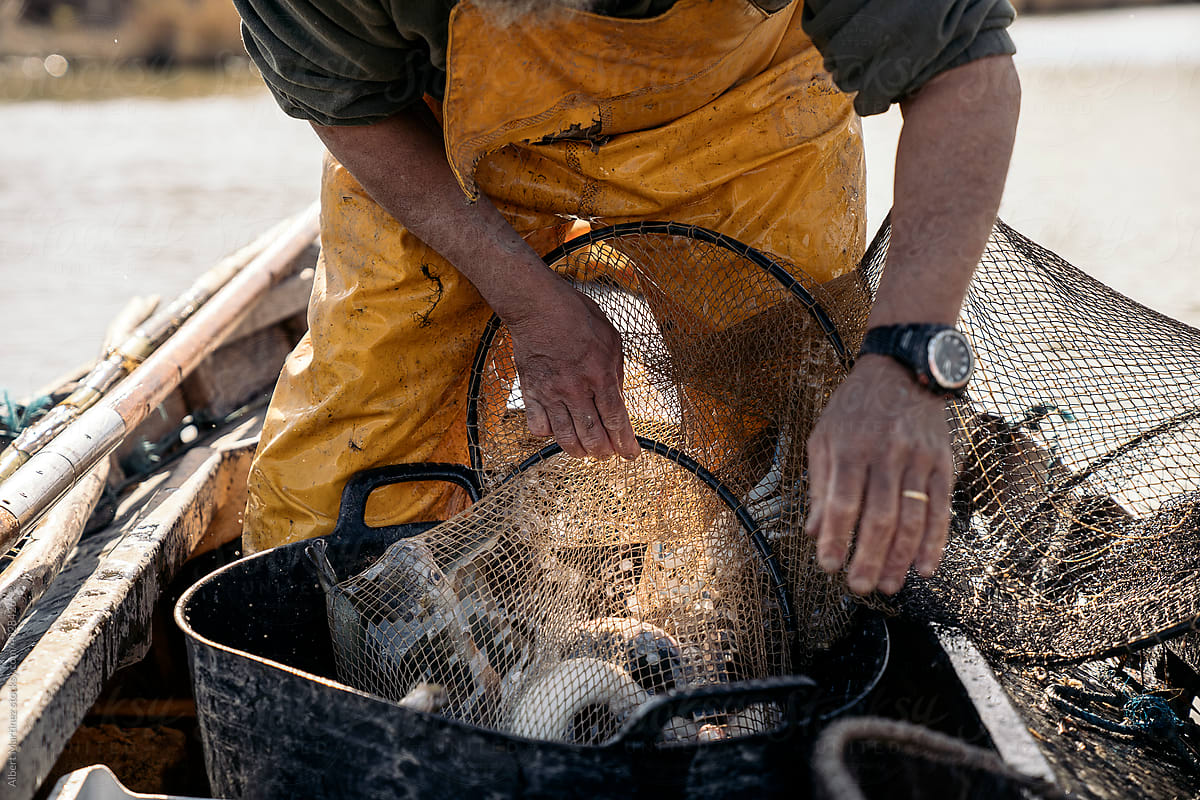 Fisherman collecting the fish