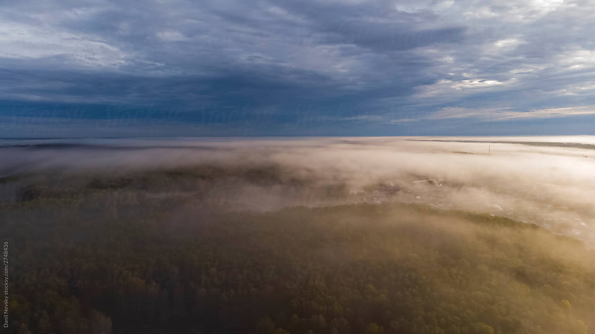 Horizon with foggy forest and cloudy sky