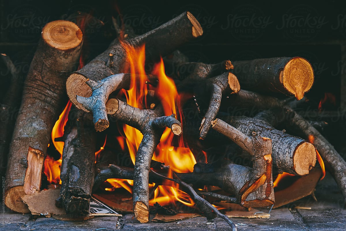 Burning logs in bonfire