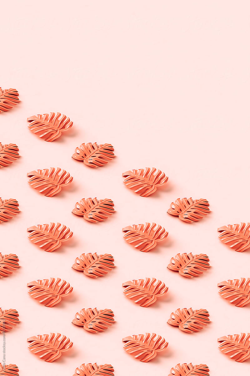 Monstera leaves on peach background