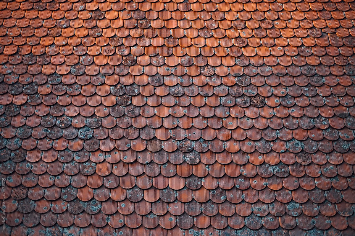 Beautiful Old Roof