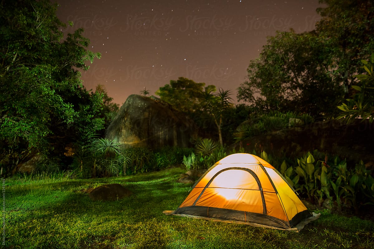 Camping in a Garden Under The Stars