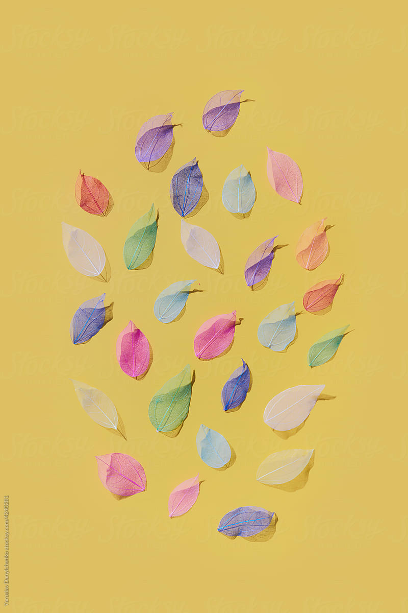 Multicolored veined leaves on yellow background
