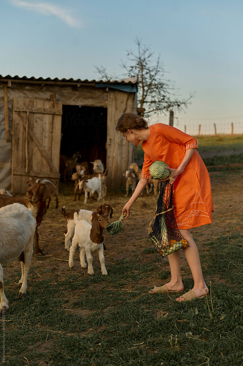 smiling woman feeding goats