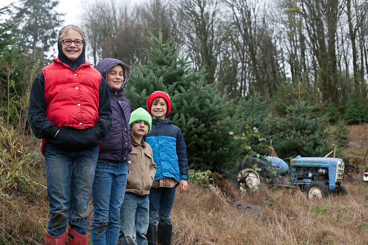 Four kids on a Christmas tree farm