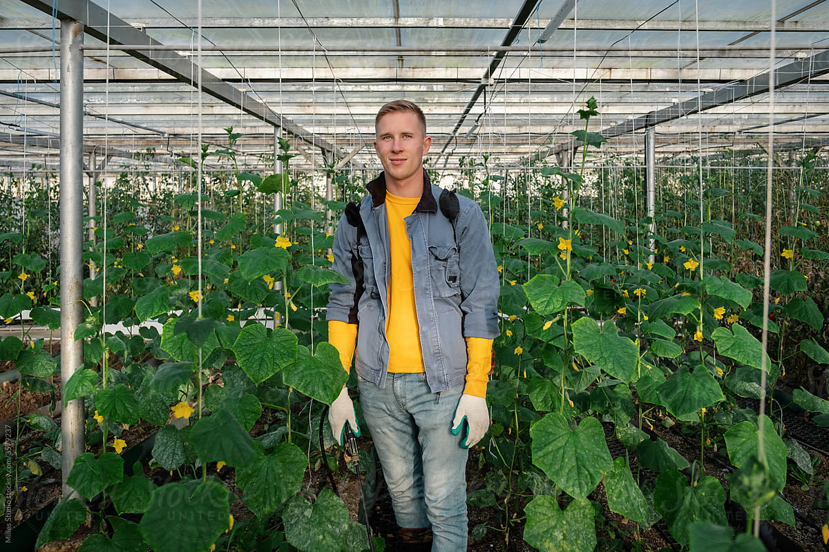 Confident male gardener with spray machine in greenhouse