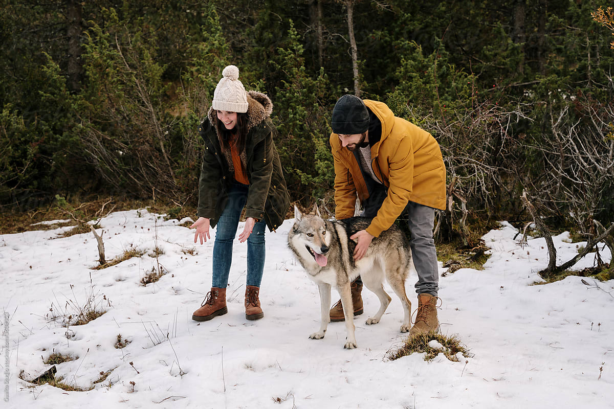 Couple walking in nature in winter with their dogs