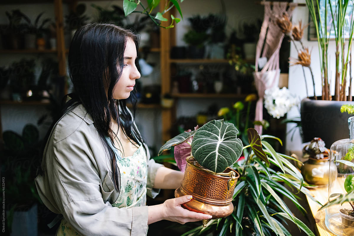 Female floral employee taking care about houseplants in store