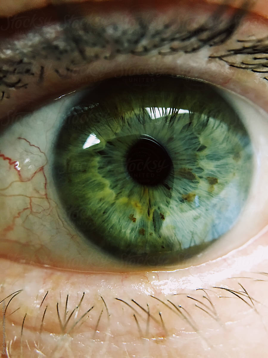 Macro close up of a green eye male female