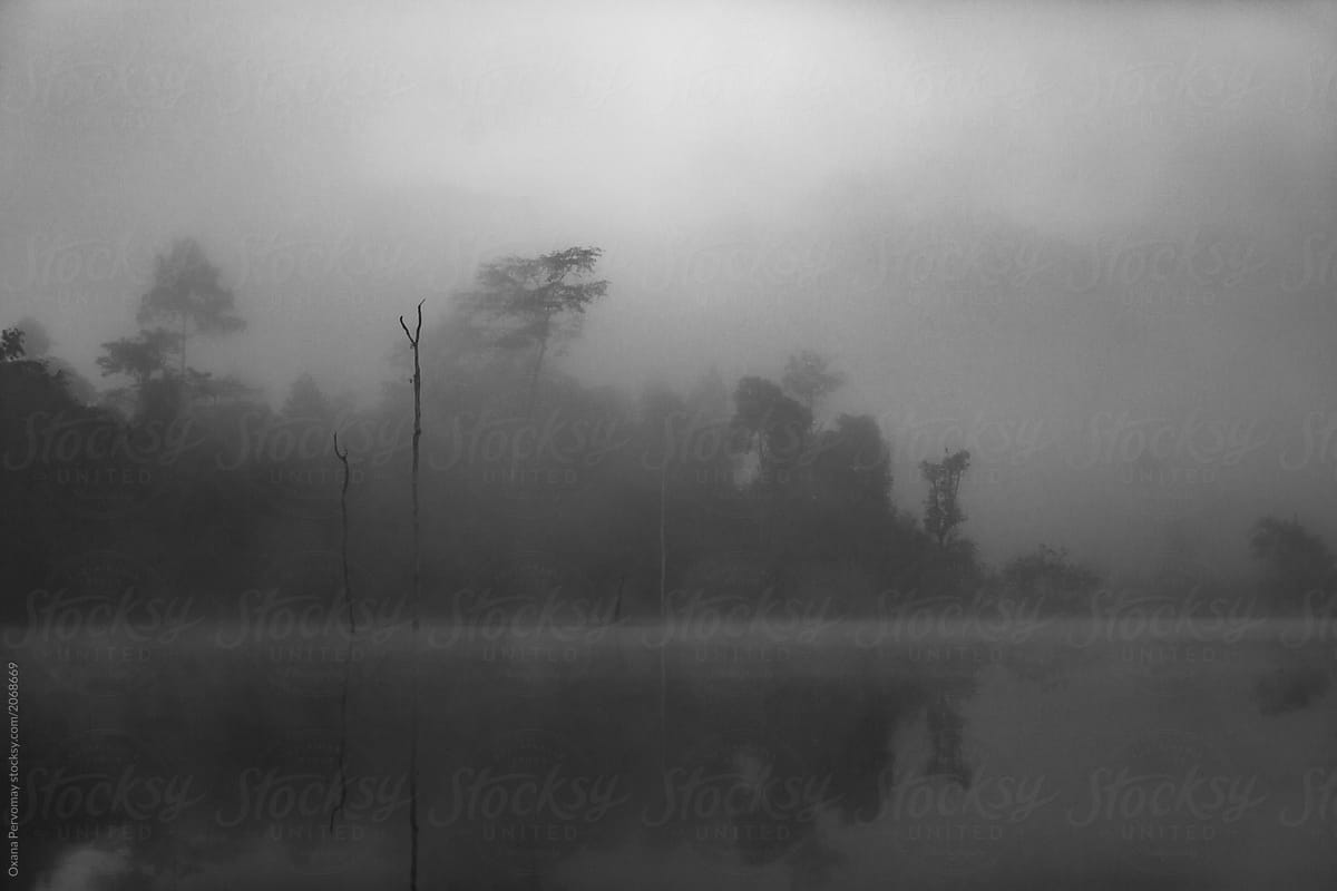 A forest lake in morning mist.
