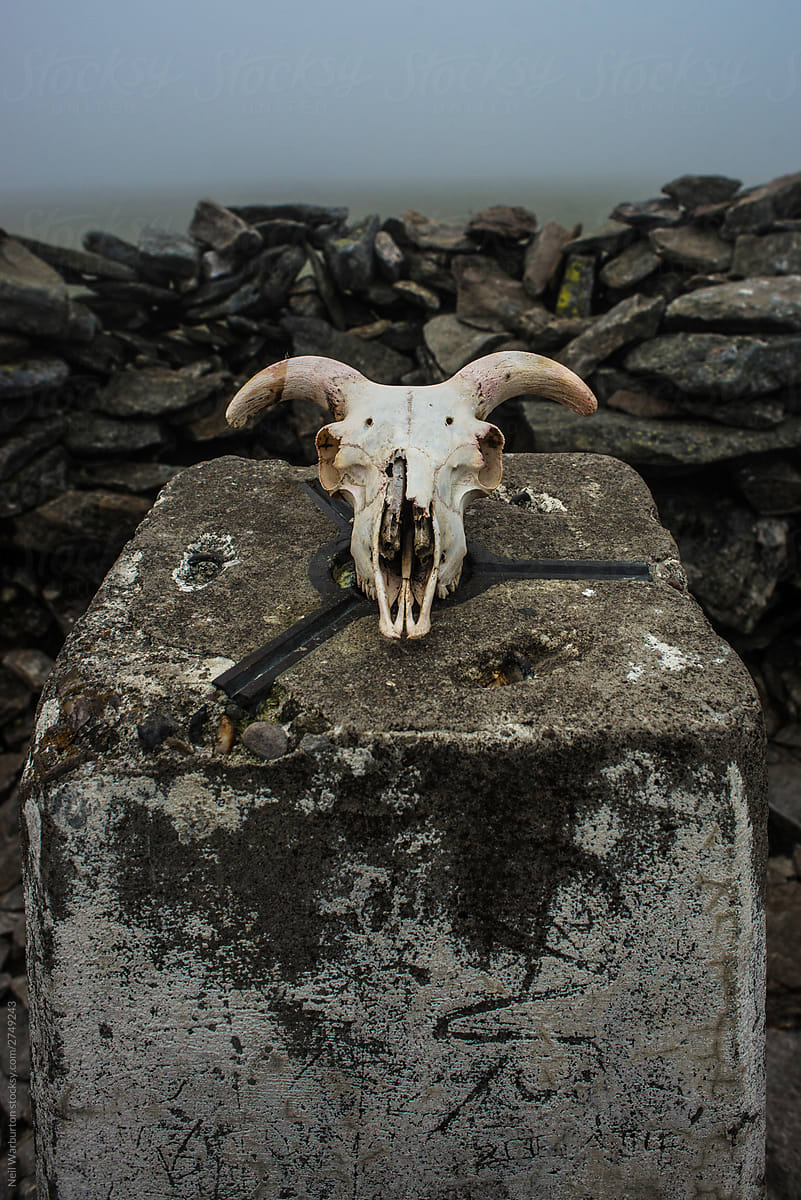 Ram\'s skull on stone altar