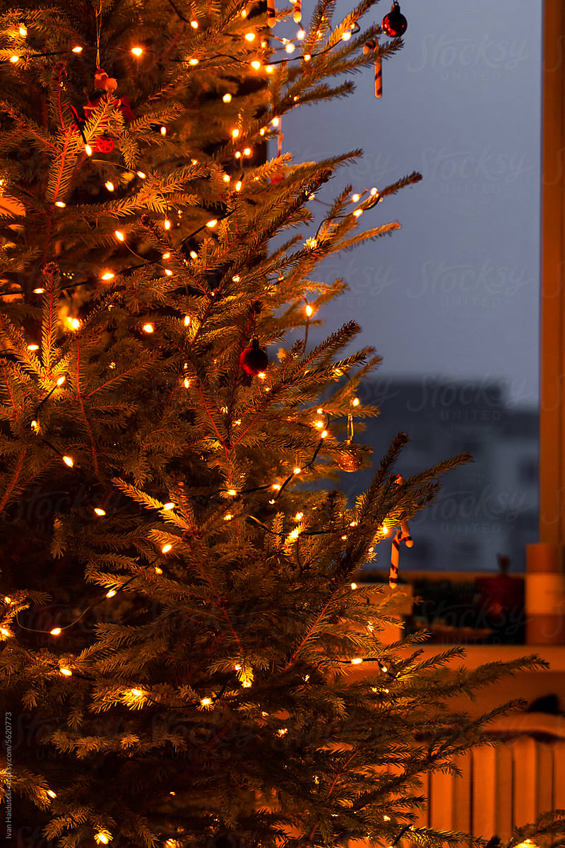 Decorated Christmas tree with garlands, lights, toys by home window