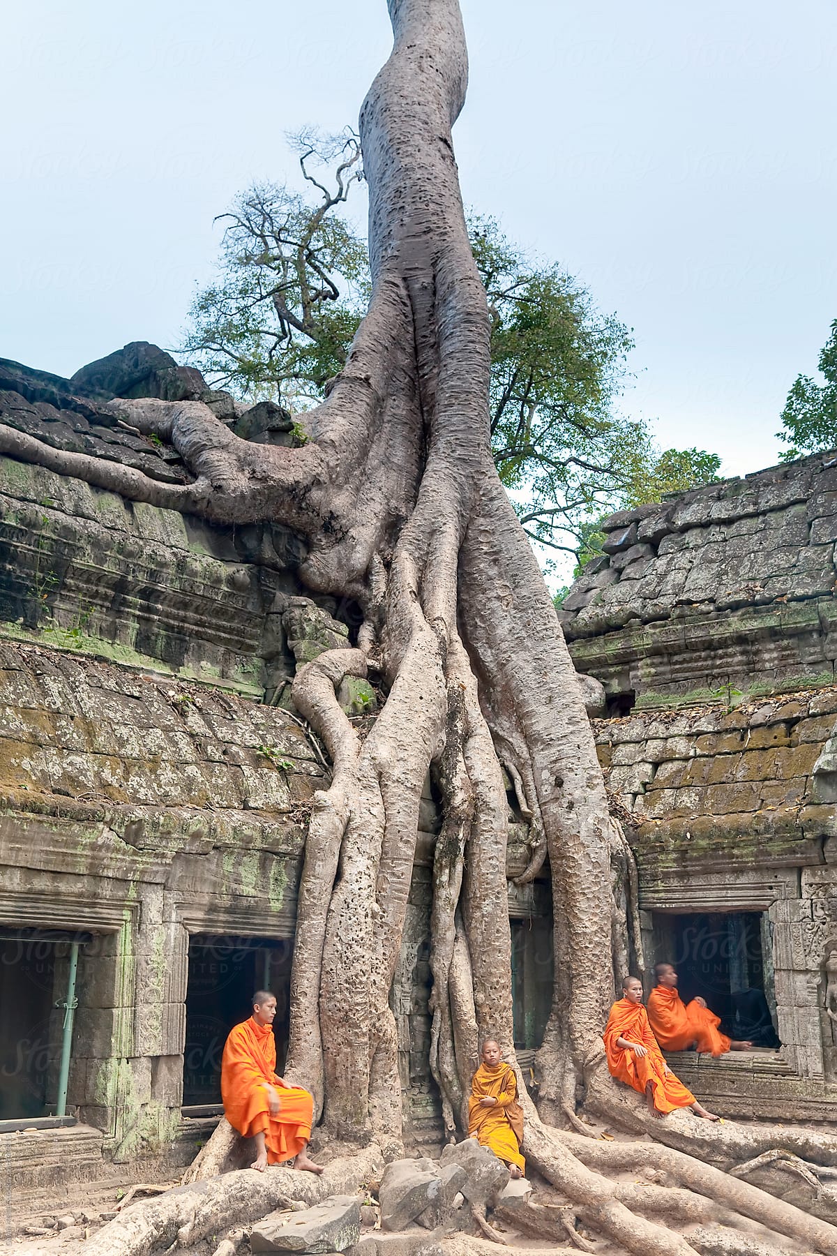 Monks in the Ta Prohm Temple, Angkor, UNESCO World Heritage Site, Siem Reap, Cambodia, Indochina, Asia