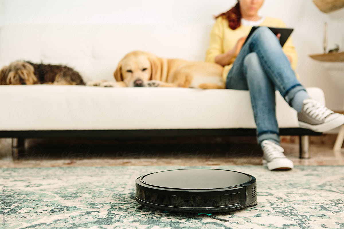 At home with robot vacuum