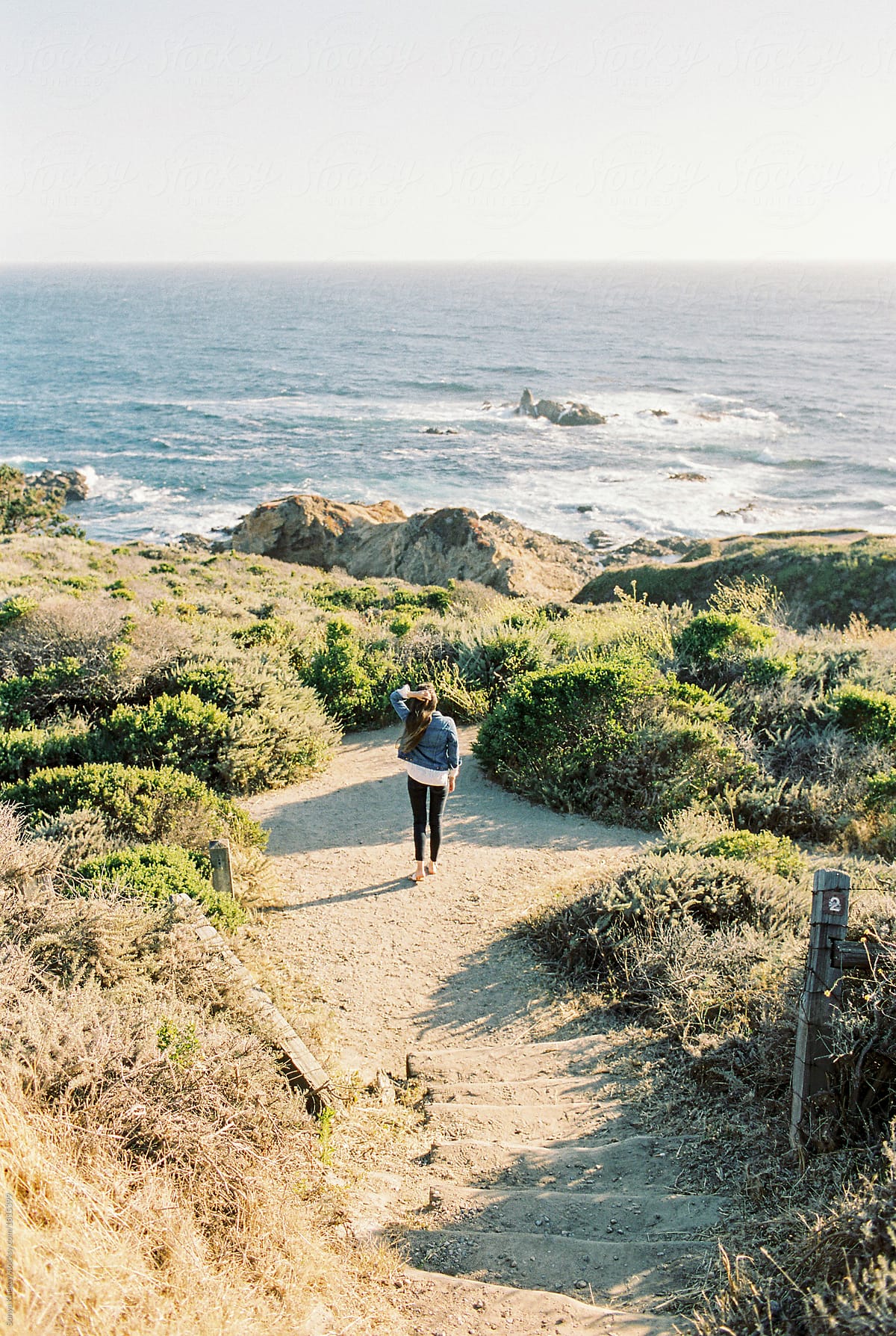 View "California Sea Otter State Game Refuge" by Stocksy Contributor "Sonya  Khegay" - Stocksy