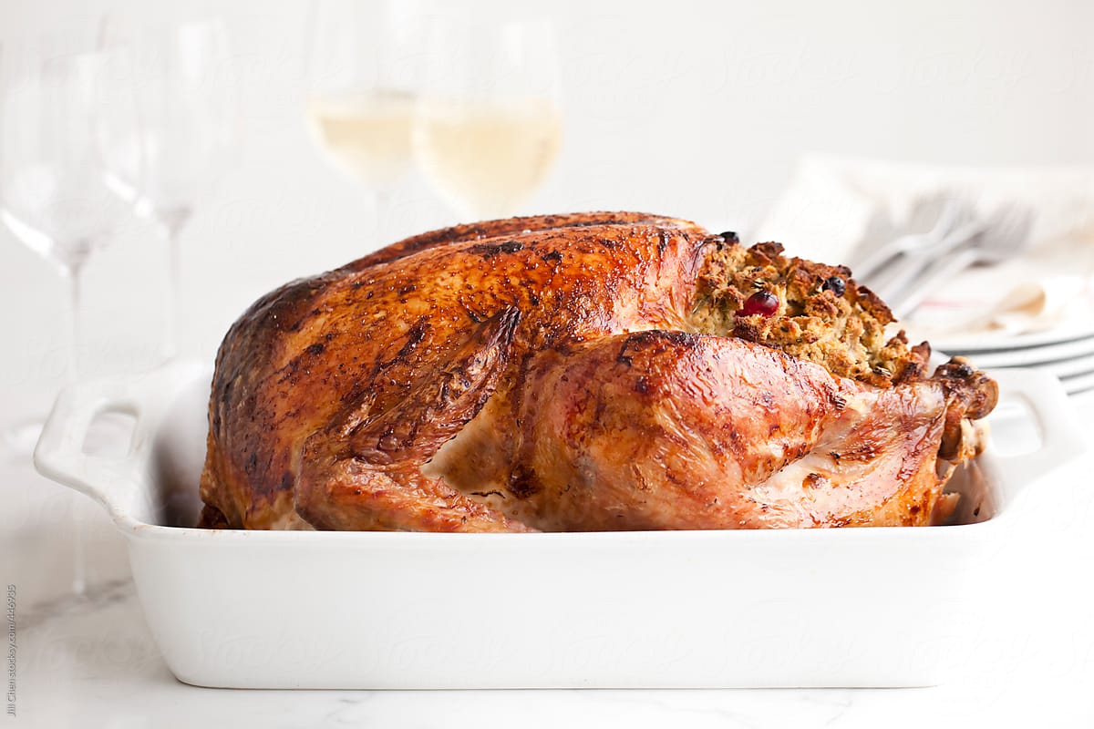 Roast Turkey on White Background