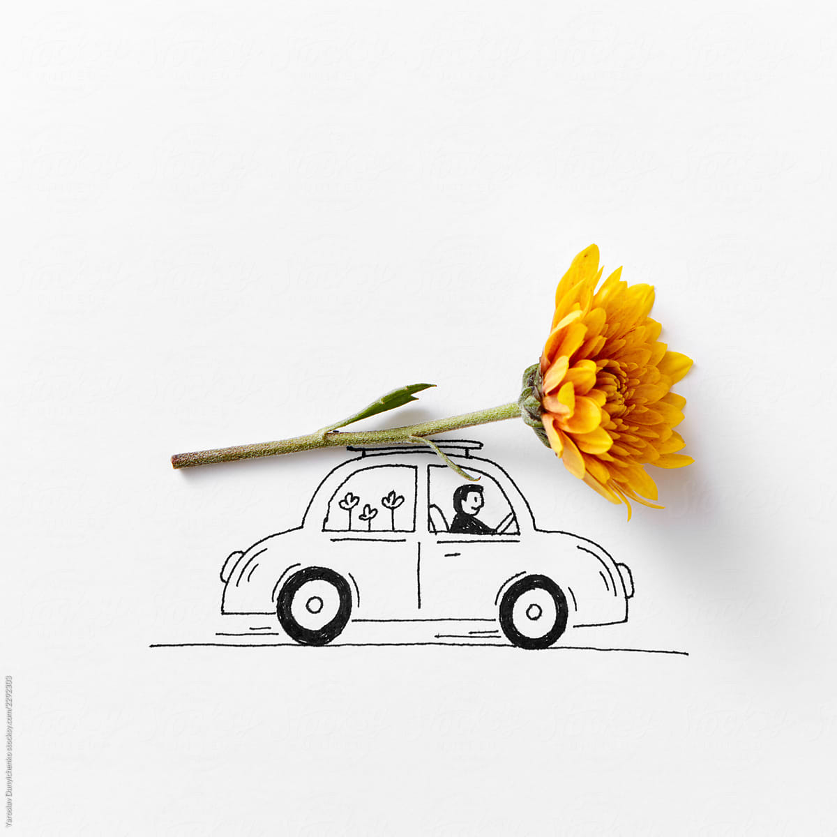 Drawing car with a man carrying an orange flower on a gray backg