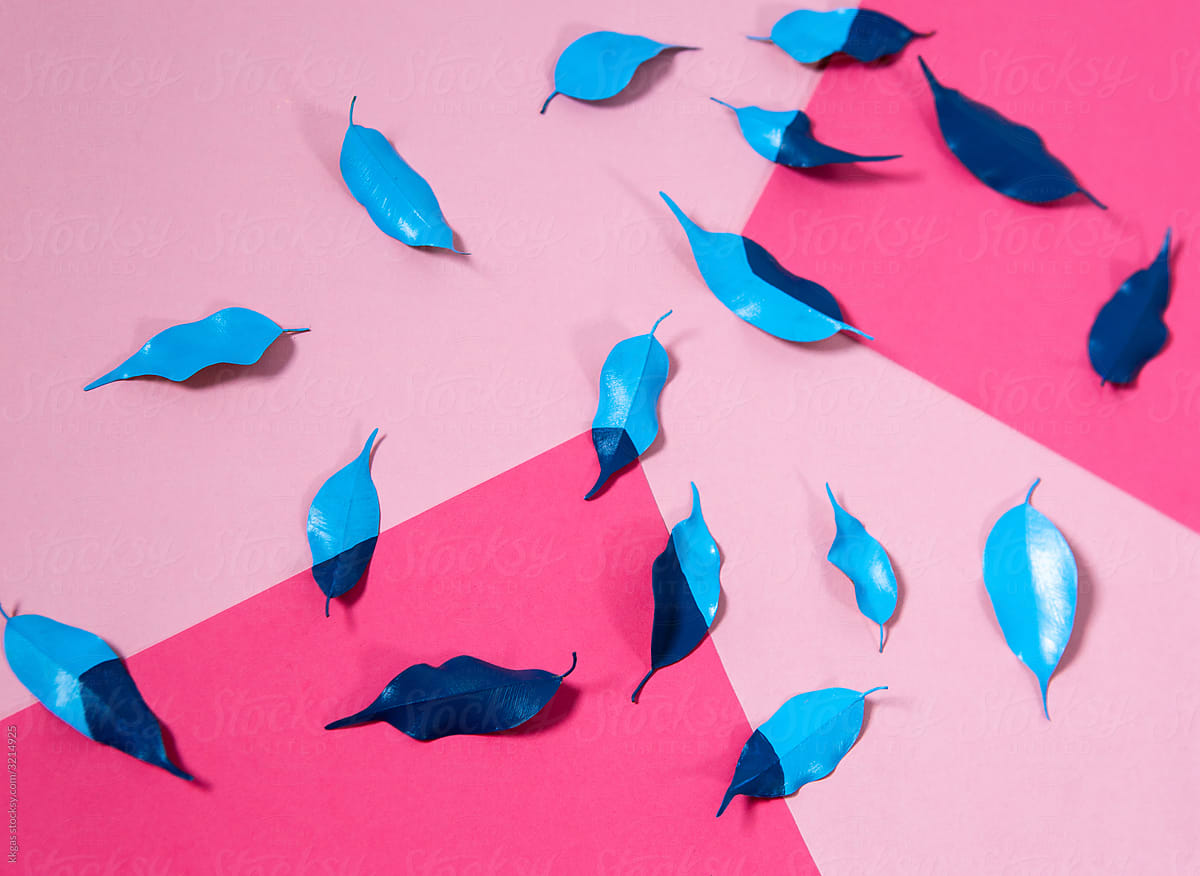 Blue leaves on a pink background