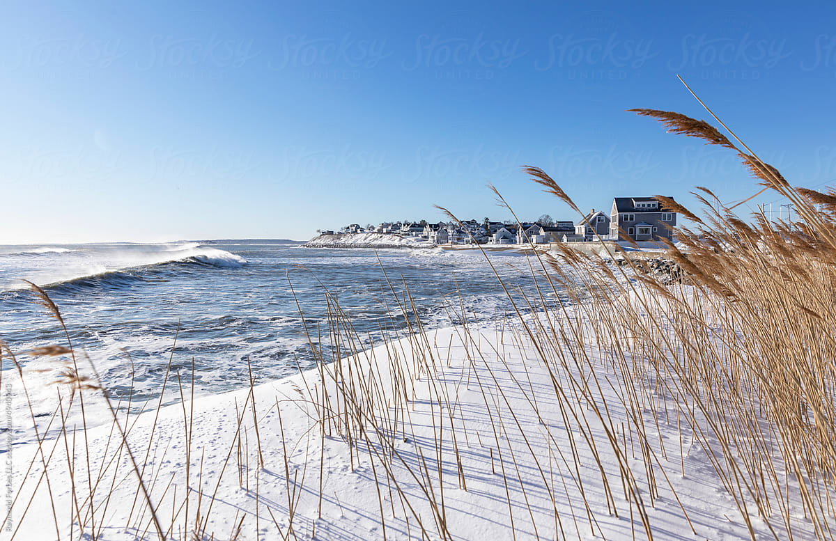 New England Coast after storm in Winter Landscape with golden grass