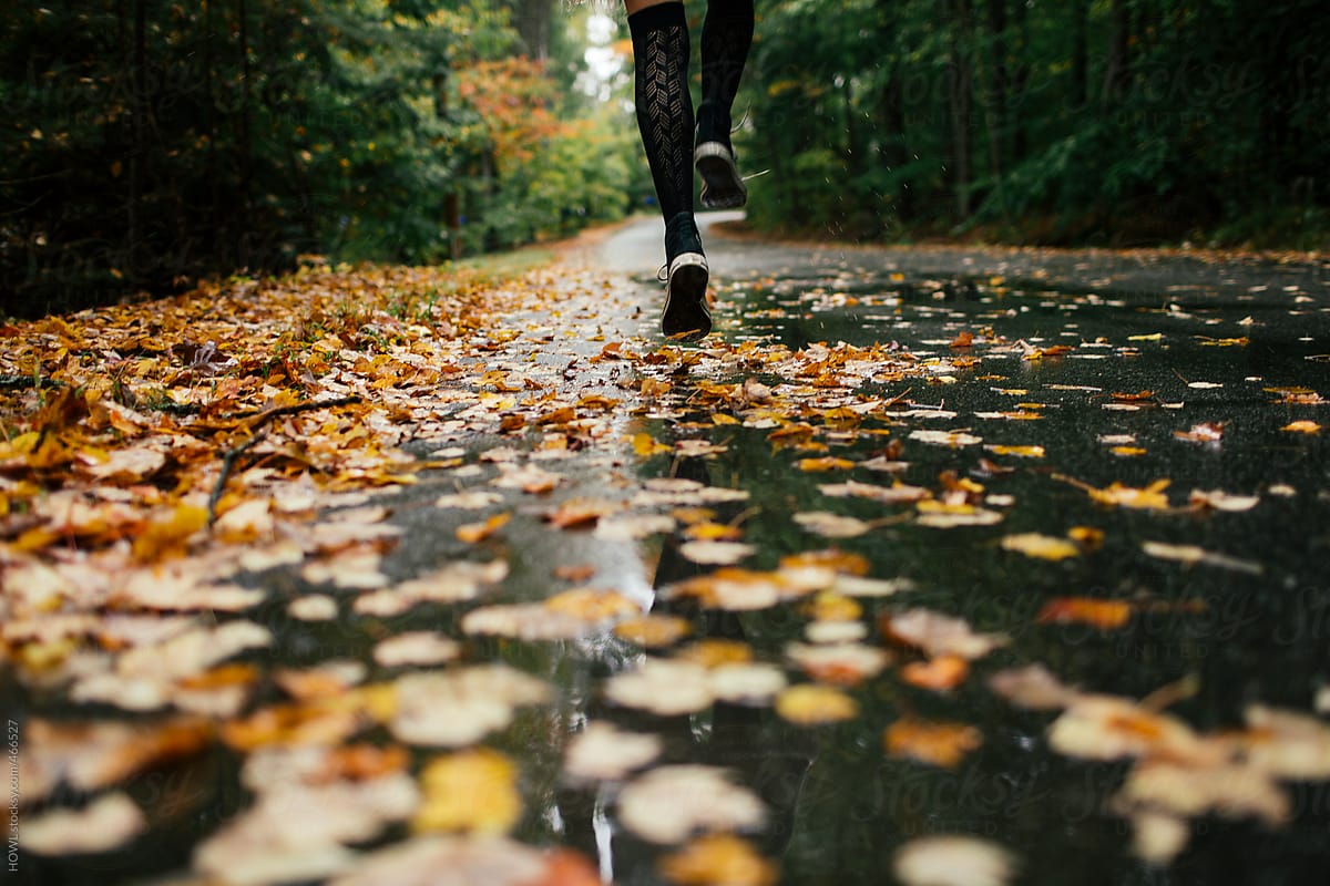 Young child splashes in puddles filled with Autumn leaves