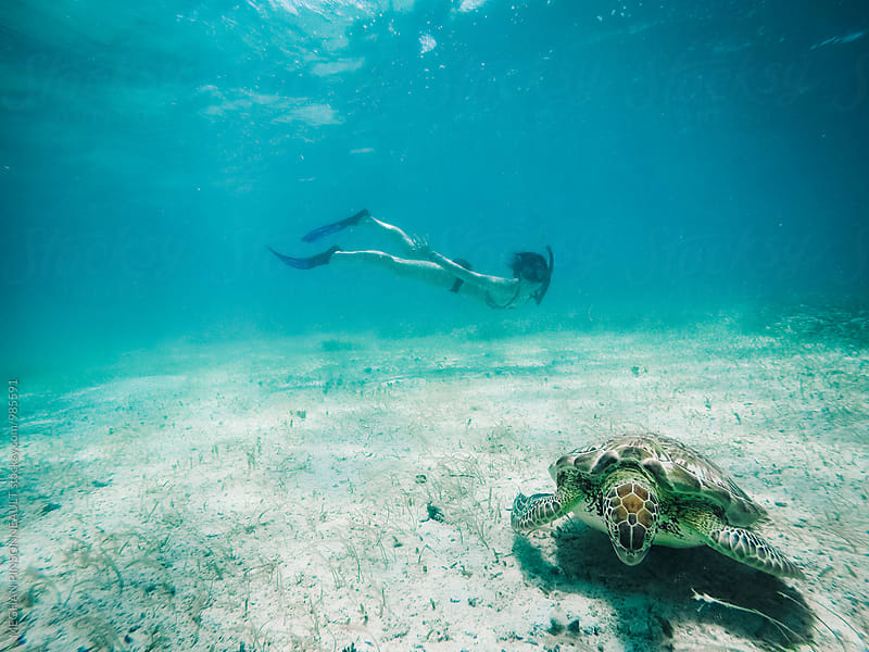 Woman Snorkeling with Sea Turtle in Tropic Underwater Setting