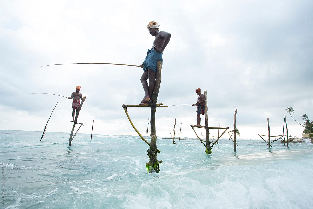 Stilt Fishermen. Sri Lanka.
