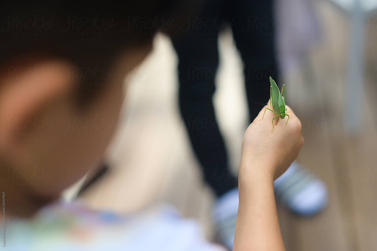 Child holding insect