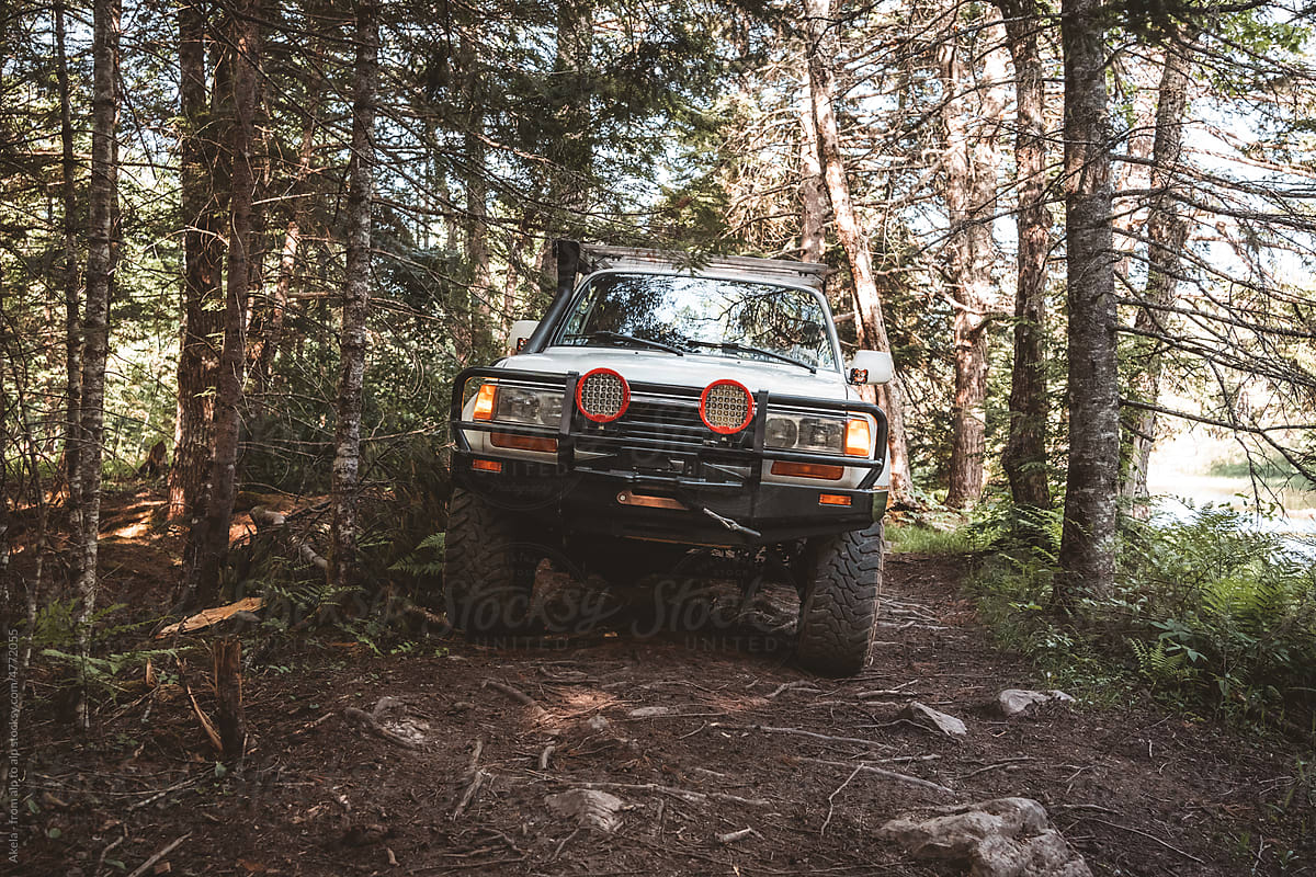 4wd in forest