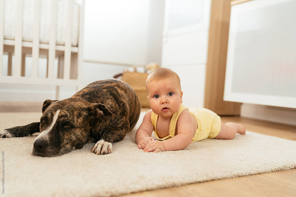 Adorable kid lying on carpet with pet dog