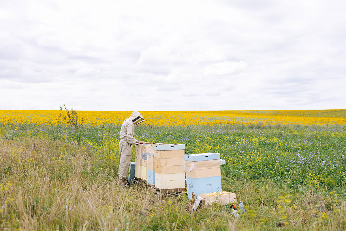 Farmer job apiculture environment