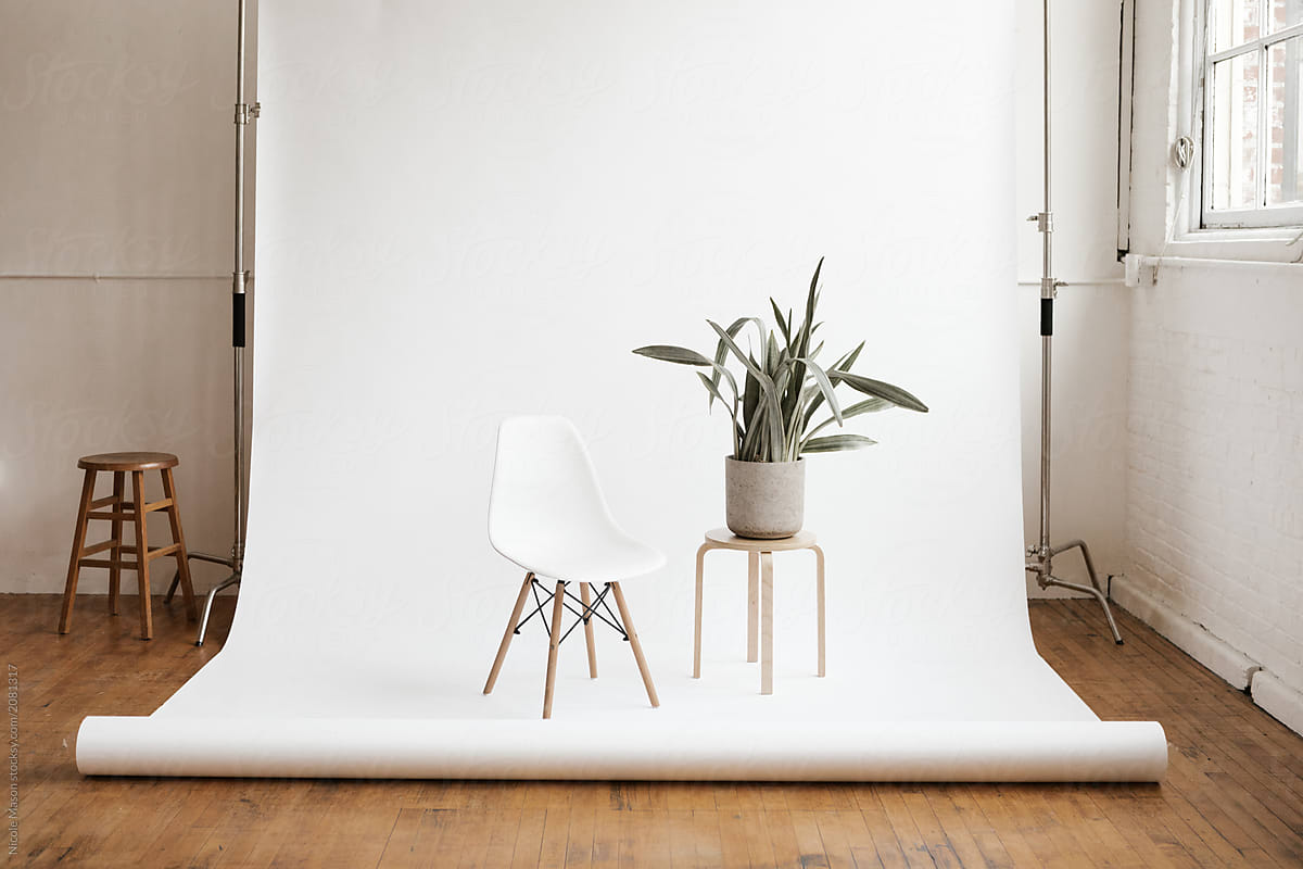 potted plant and white chair on white studio backdrop on hardwood floor