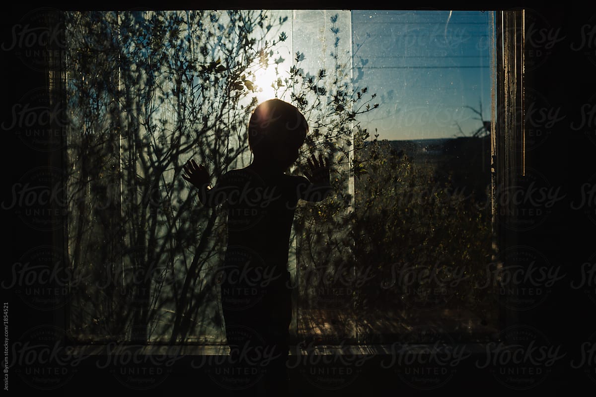 Toddler boy in window with tree limbs casting dark shadows and making a silhouette.