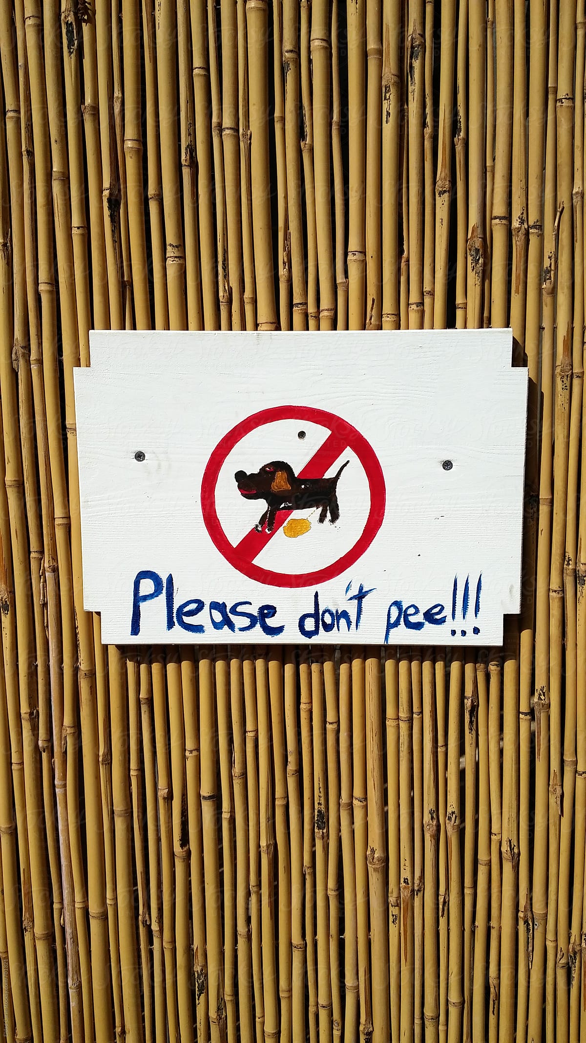 Please Don't Pee!!!