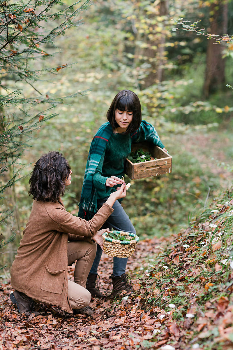 Girls Picking Mushrooms