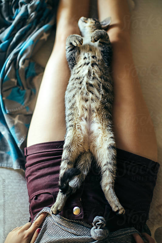 Cat all stretched out and belly up on a teenage girl\'s lap