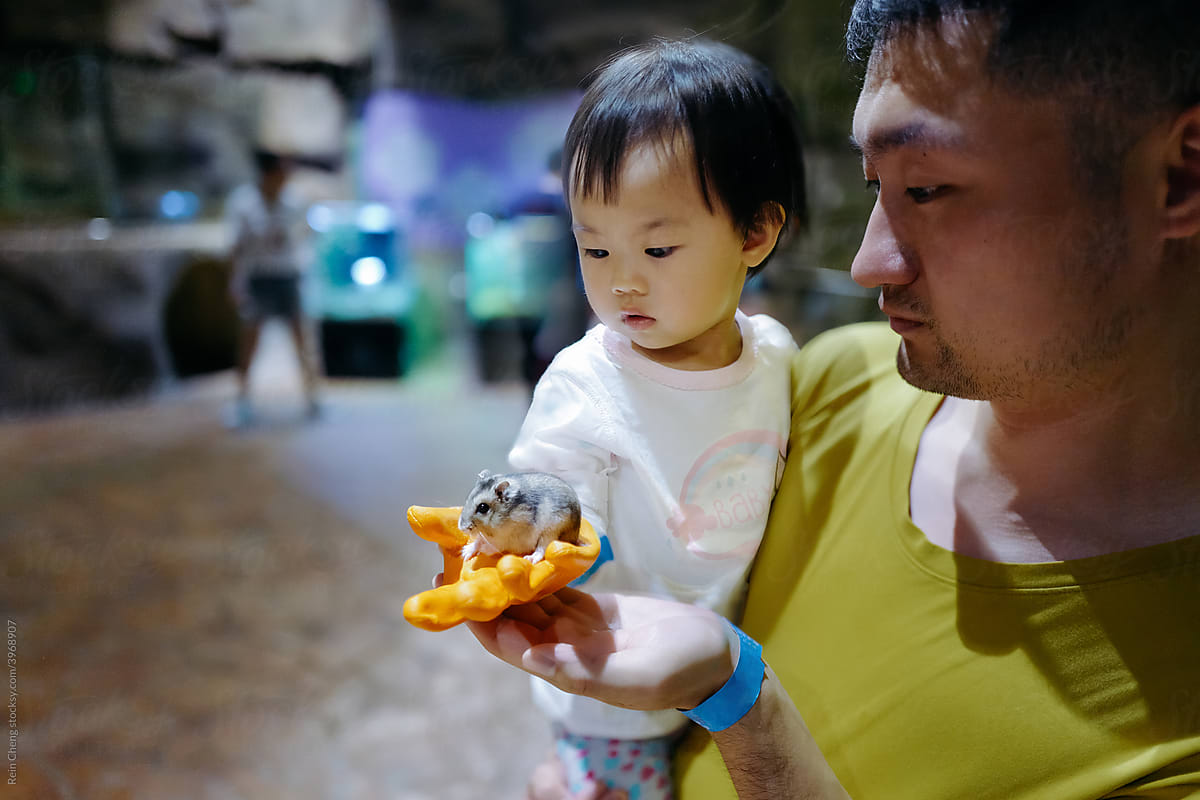 Asian father and daughter looking at hamster