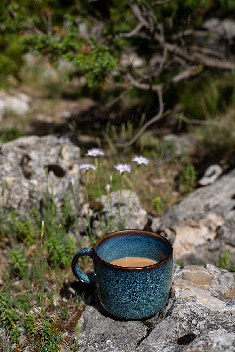 Coffee cup in the forest