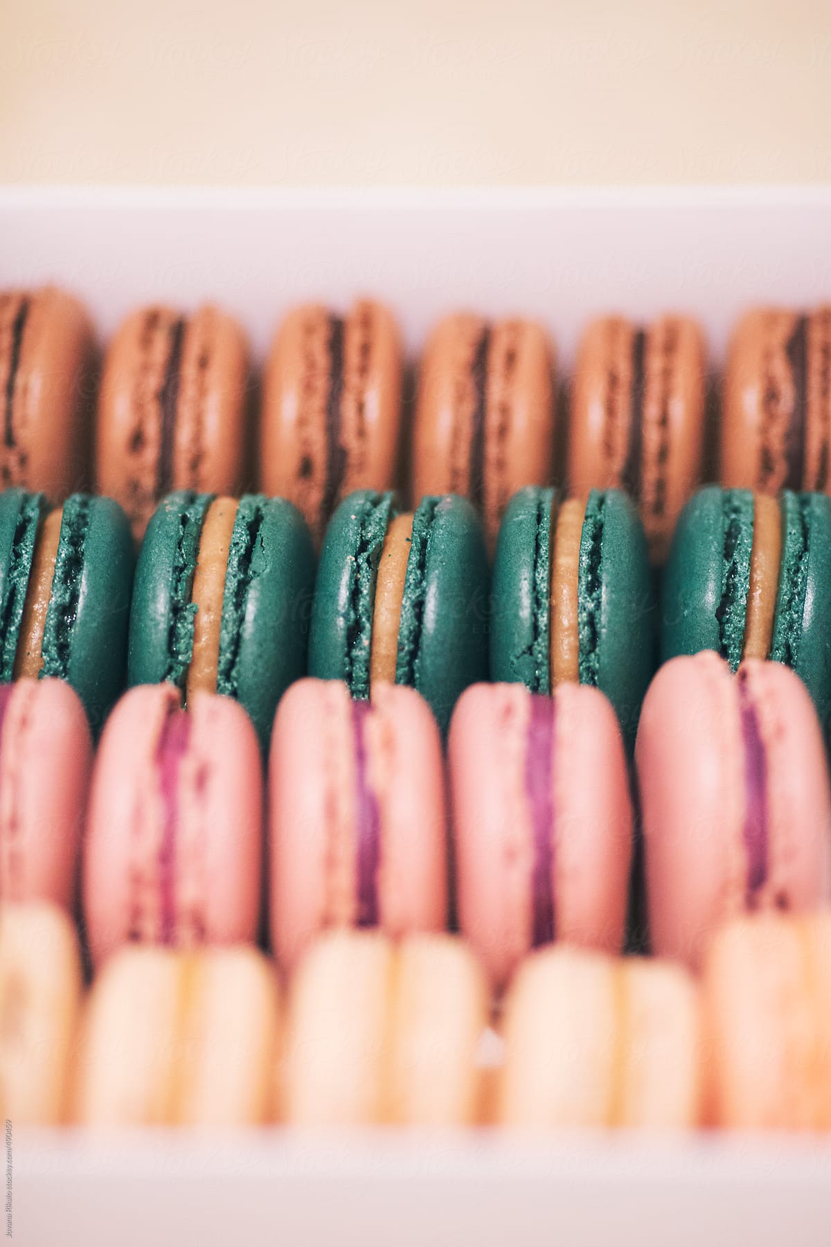 French macaroons in a takeaway box