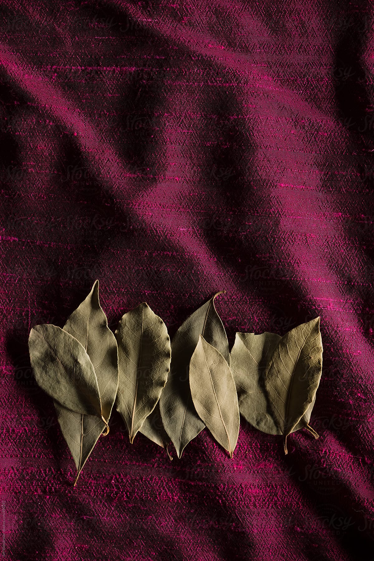 Bay Leaves on Purple with Copyspace