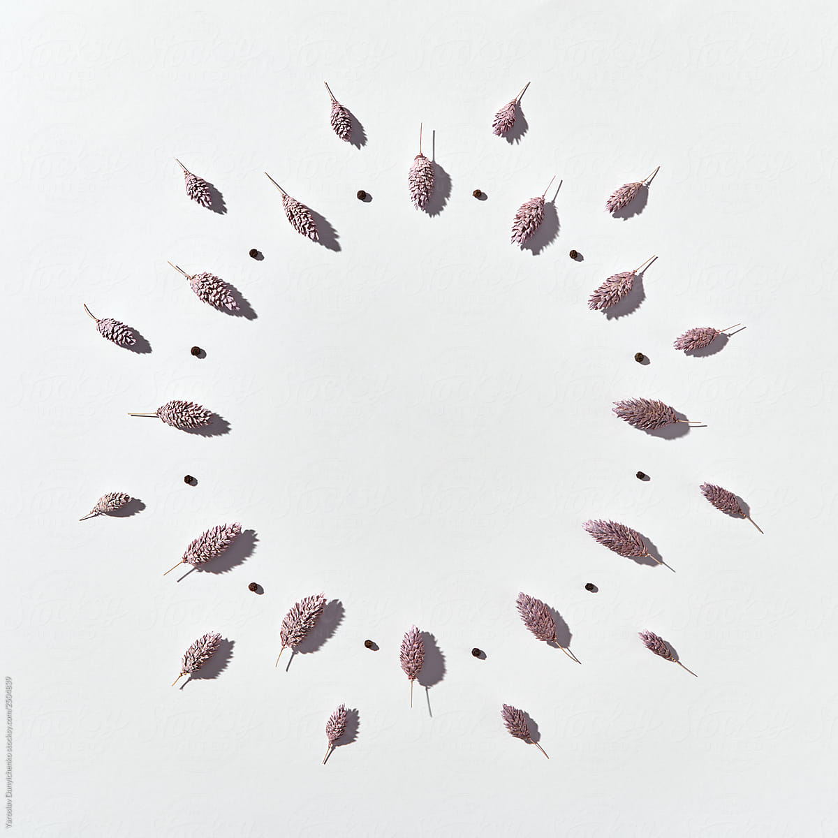 Round frame of dry plant buds and seeds on a light background, copy space. Flat lay.