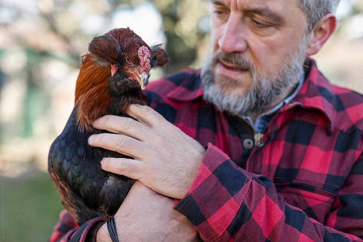 Portrait of a Man holding a chicken