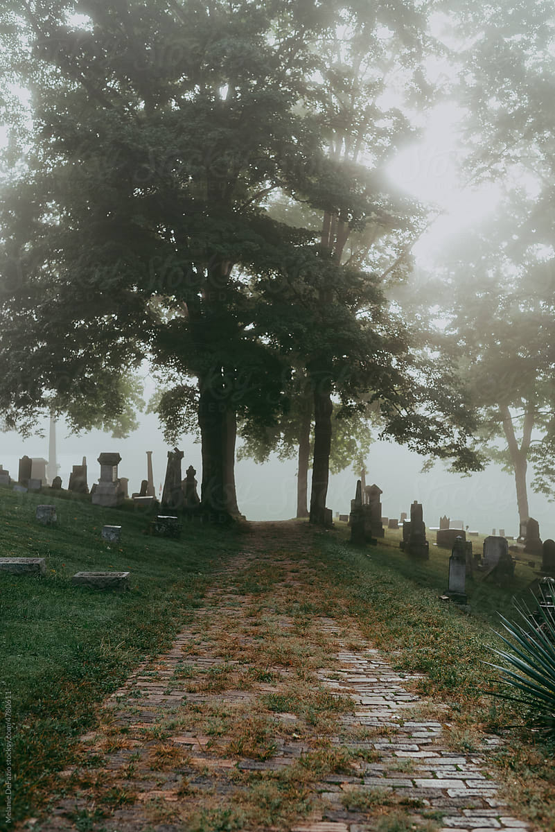 Foggy cemetery