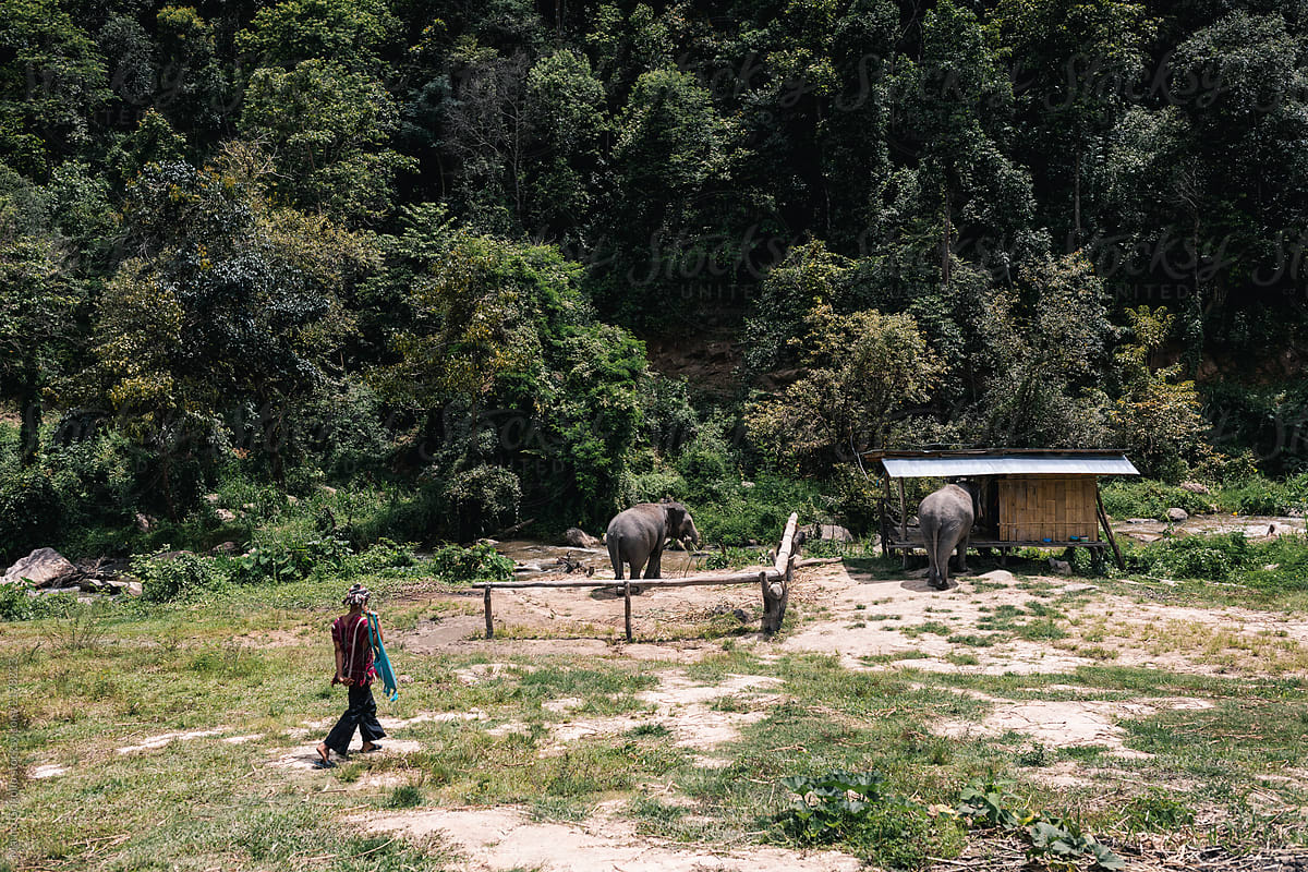 Elephant reserve