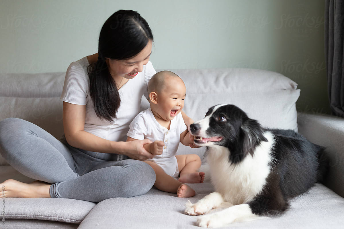 asian baby with dog at home
