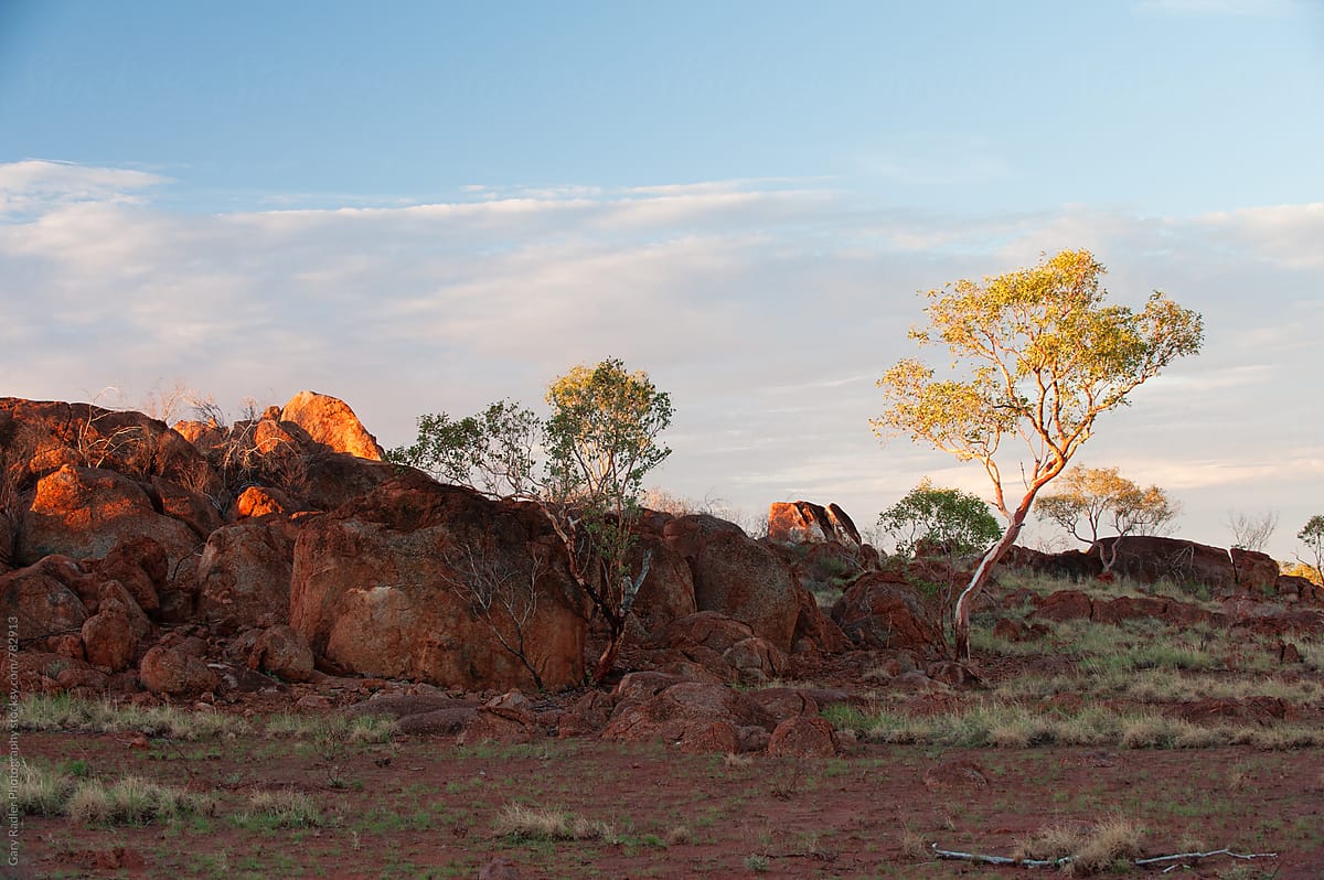 Rocks and Scrub in the Australian Desert
