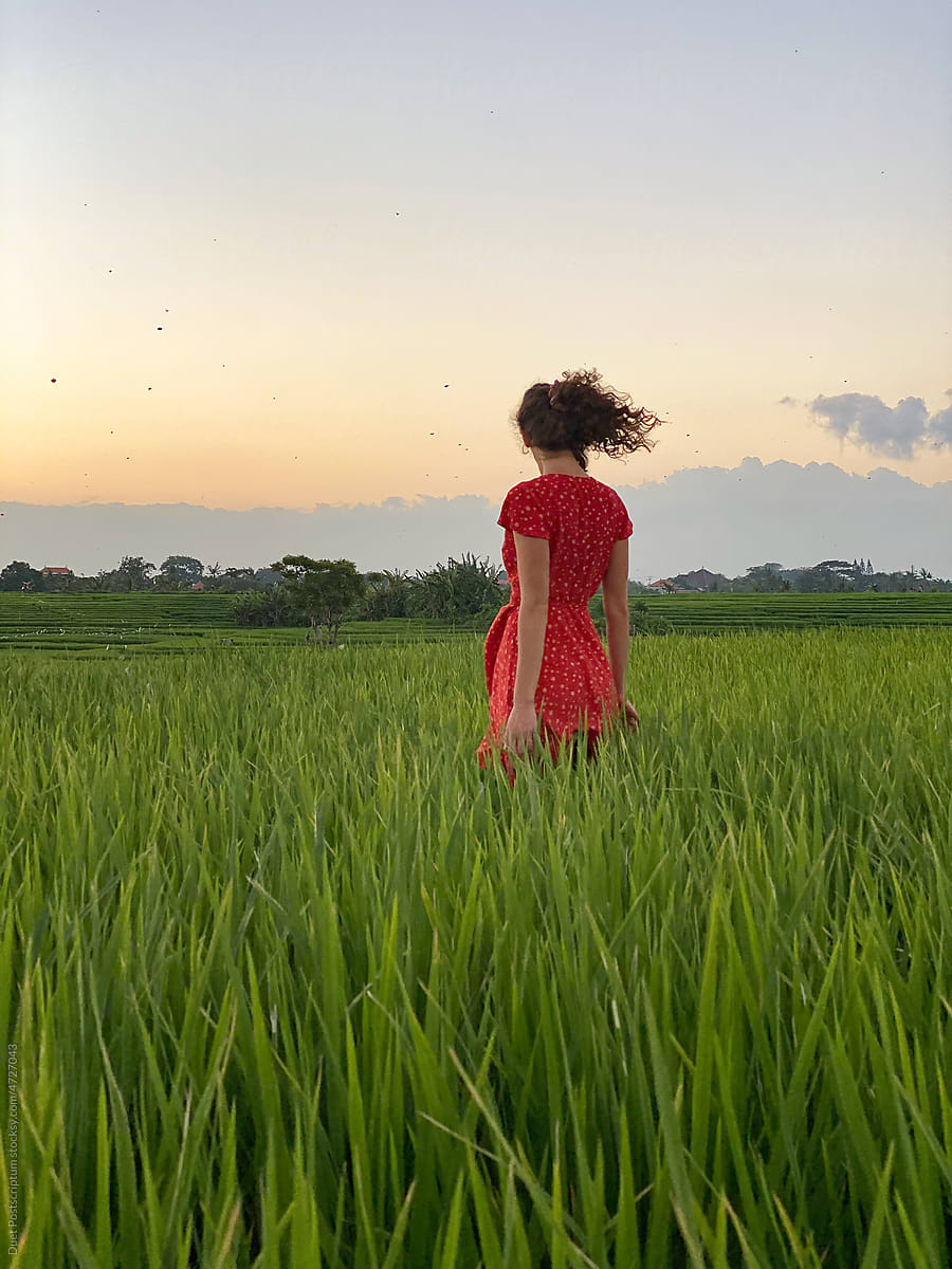 Young woman walks in rice field. Bali, Indonesia.