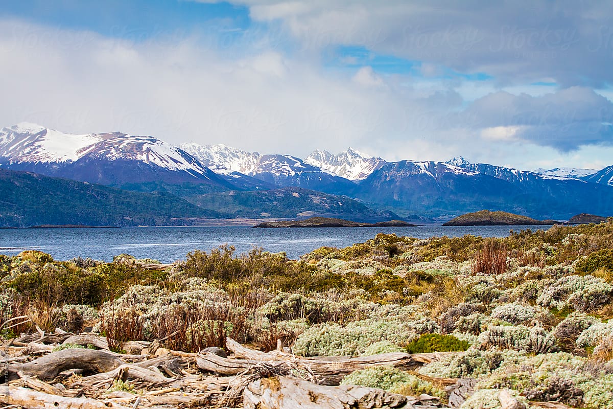 Islands of the Beagle Channel - Patagonia