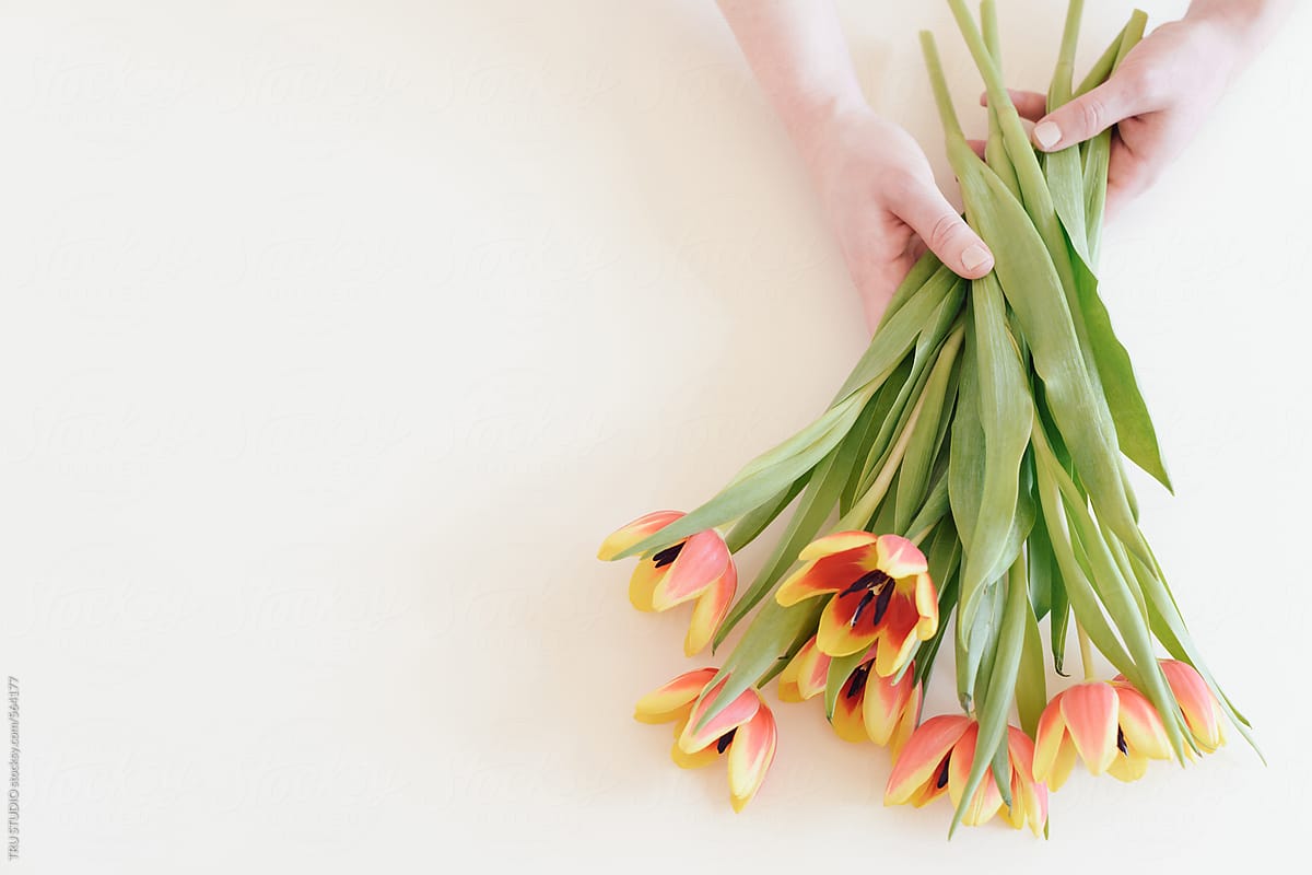 Tulips with hands