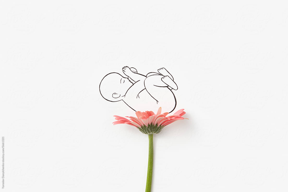 Sketch of cute sleeping baby lying on natural pink gerbera
